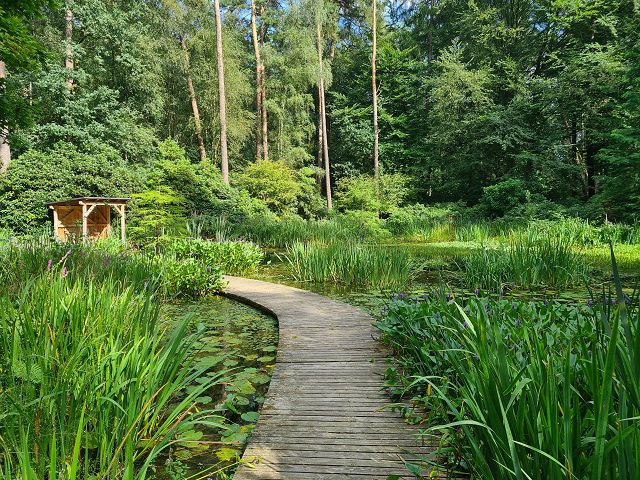 rhododendron-park-gristede-see-weg
